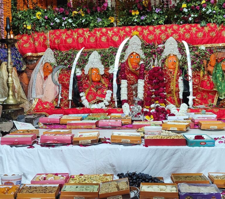 जोगणियां माताजी में भव्य रात्रि जागरण, शोभायात्रा एवं छप्पन भोग का आयोजन